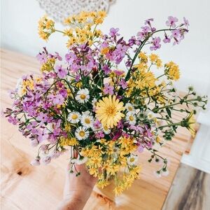 Meet your Posher, Alexys